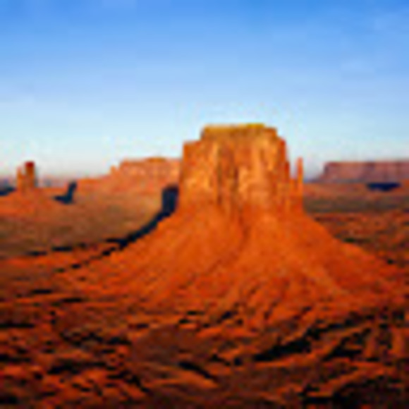 Meet your Posher, Tanner - Picture 1 of 1